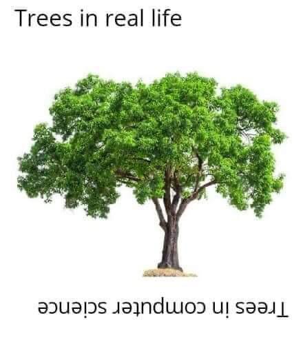 family tree meme